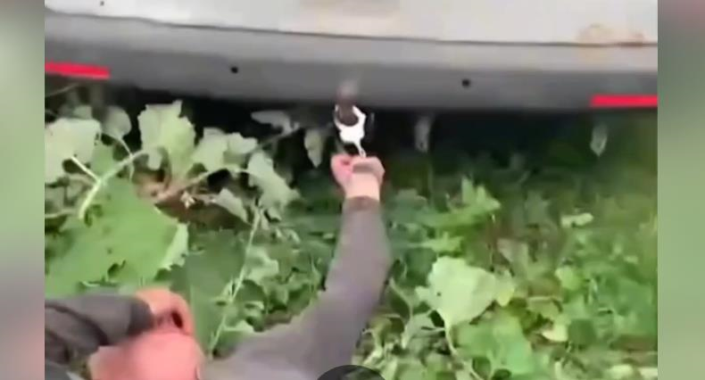 Фото для новини:Прикували наручниками до авто: на Хмельниччині перевіряють інцидент з ТЦК