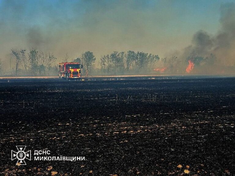 Фото для новини:Росіяни вдарили по полях на Миколаївщині