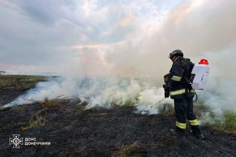 Фото для новини:У Слов'янську пожежа сухостою наблизилася до осель