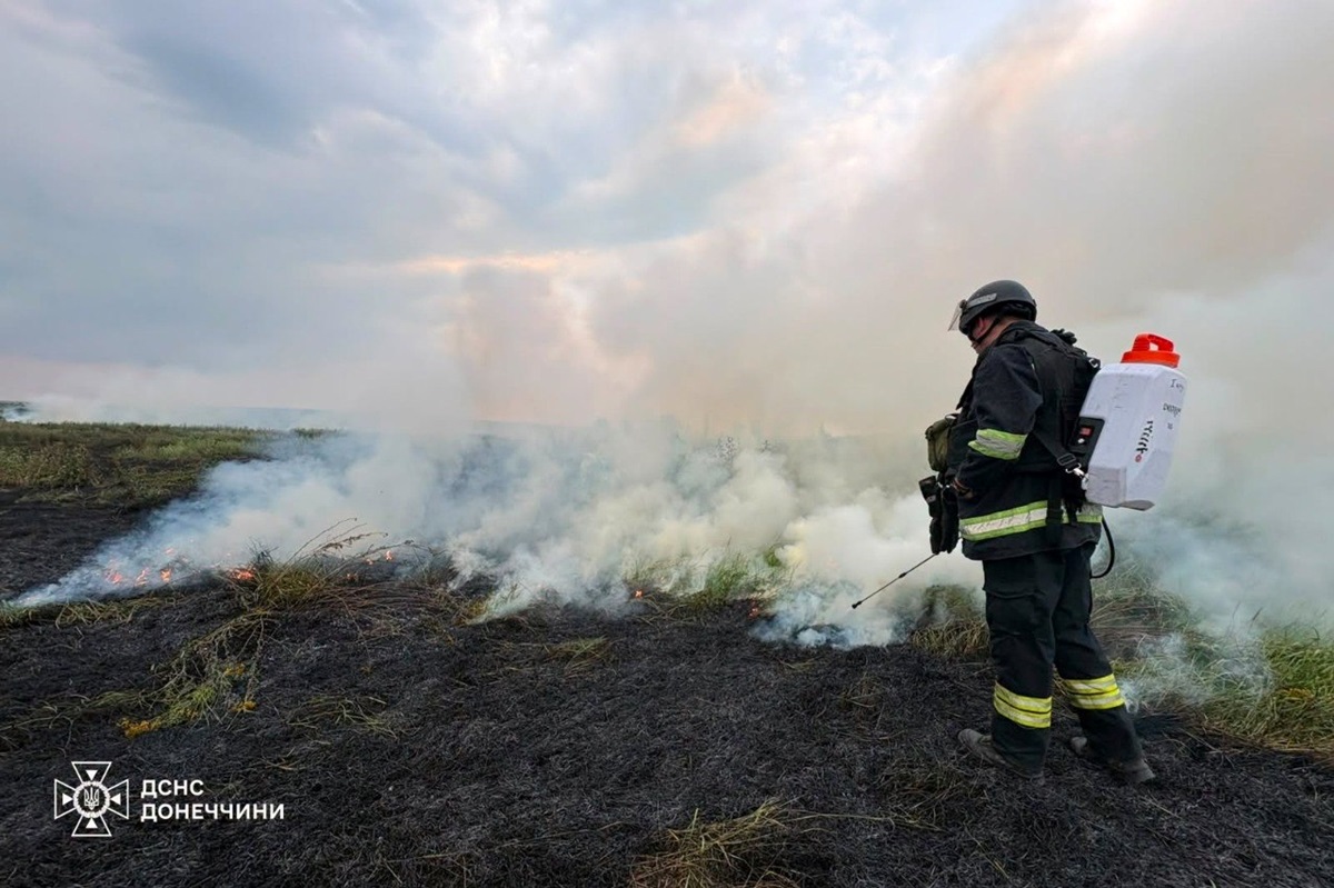 Фото для новини:У Слов'янську пожежа сухостою наблизилася до осель