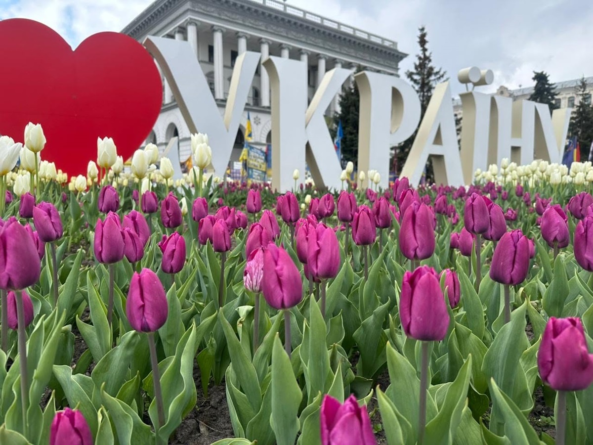 Фото для новини:В Україні перевірили понад 99% назв вулиць у новому реєстрі адрес
