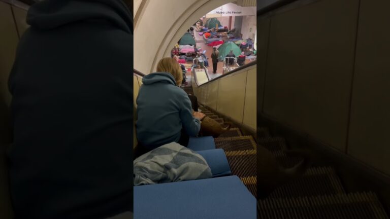 Фото для новини:A dog with a girl sheltering from Russia’s overnight attack in Kyiv’s metro