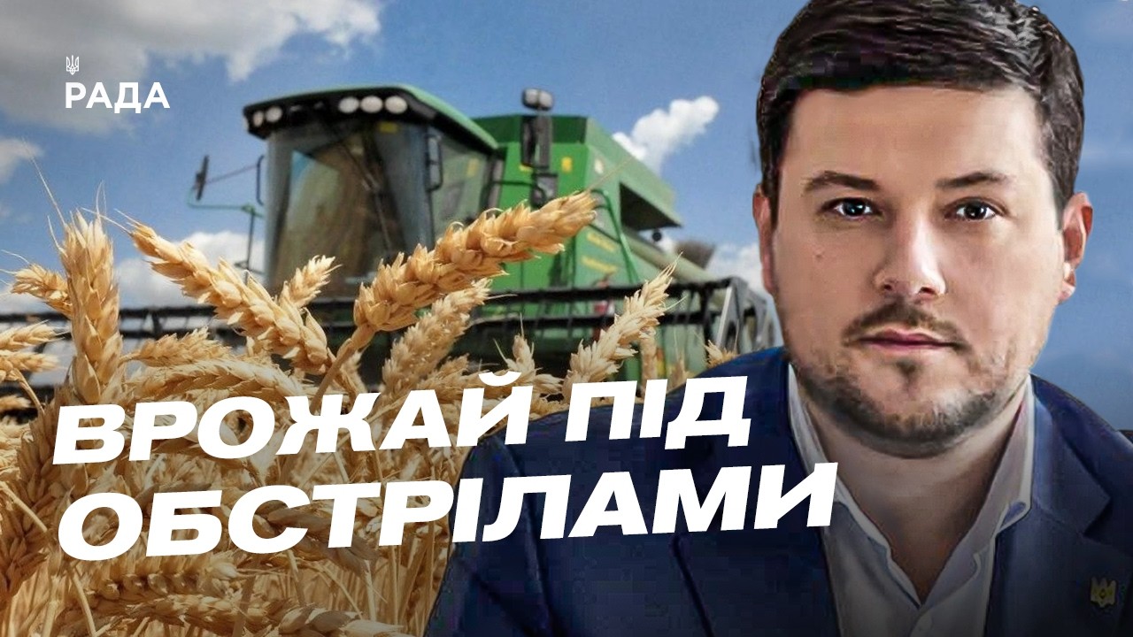 Фото для новини:Експорт українського зерна: виклики та нові маршрути | Денис Марчук