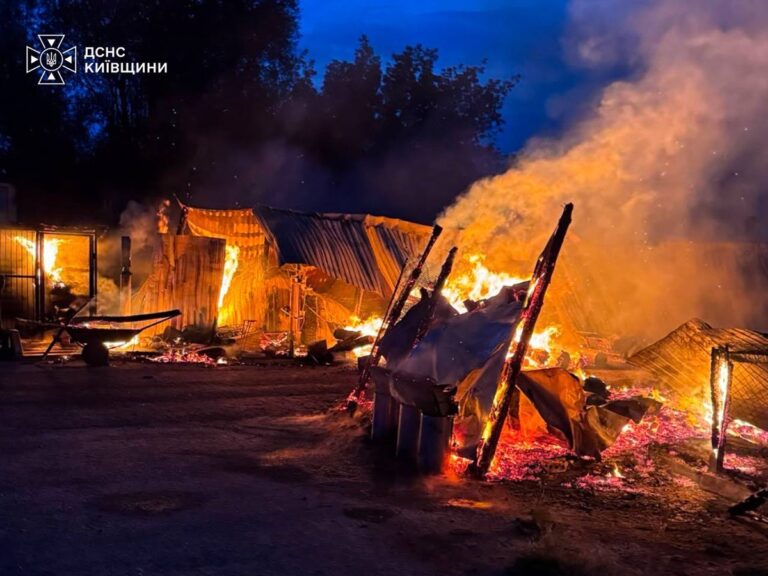 Фото для новини:На Київщині горів притулок для тварин
