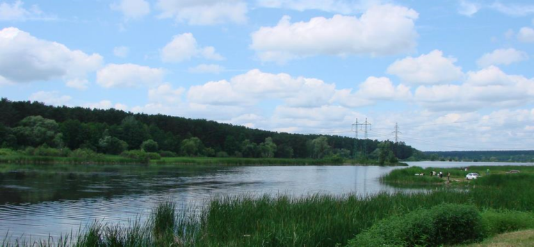Фото для новини:На Київщині попередили про забруднення водойм