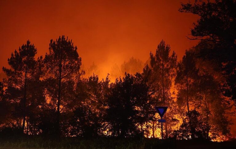 Фото для новини:У Франції заарештували понад 400 людей за підозрою у підпалах лісів