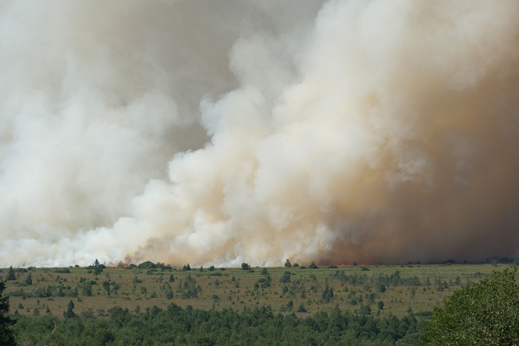 Фото для новини:Вогонь знищив тисячі гектарів заповідника у Бельгії